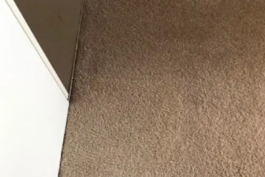 Carpet Cleaning in Carrum