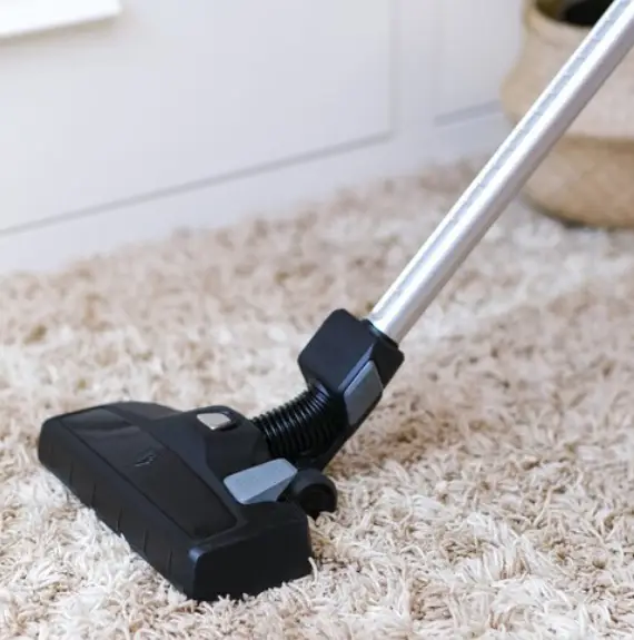 Carpet Cleaning Services