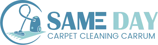Same Day Carpet Cleaning Carrum